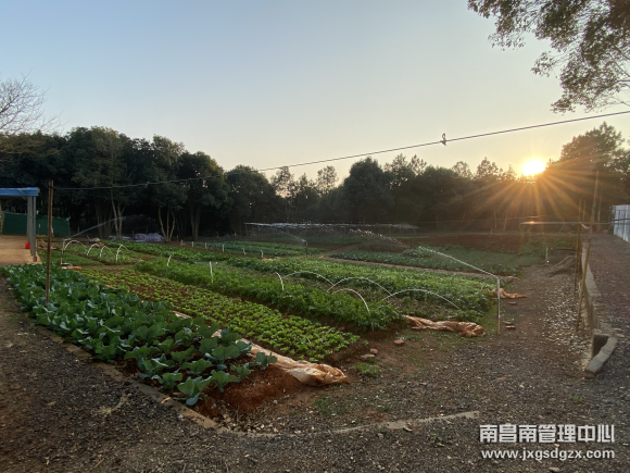 123