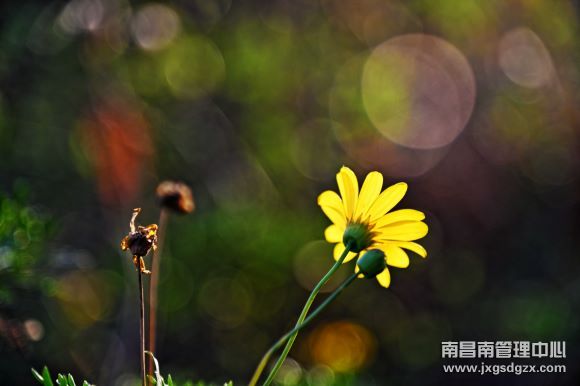 静