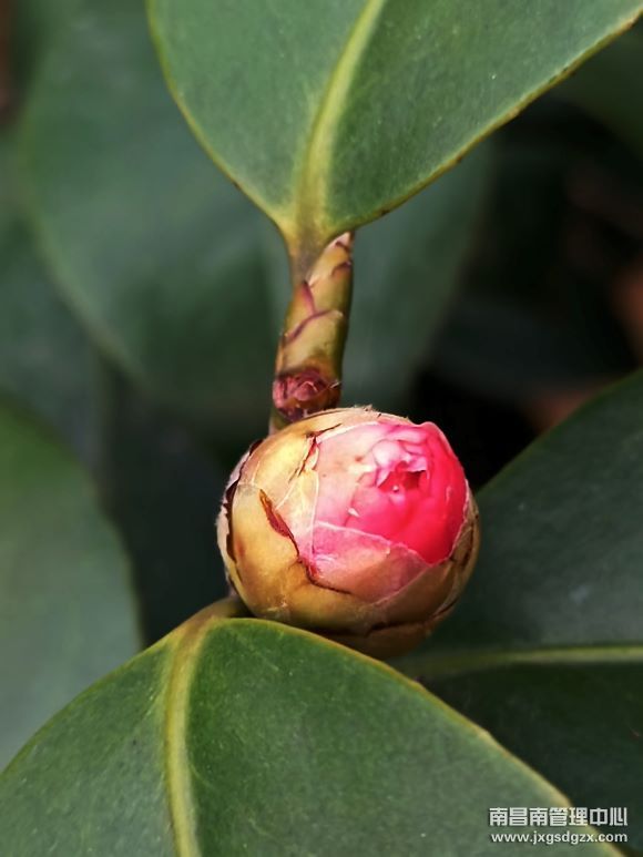 123